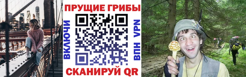 Псилоцибиновые грибы мухоморы  Лукоянов 